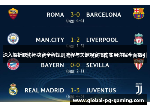 深入解析欧协杯决赛全程规则流程与关键观赛指南实用详解全面指引