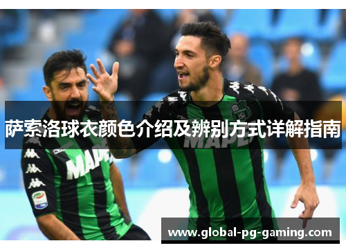 萨索洛球衣颜色介绍及辨别方式详解指南